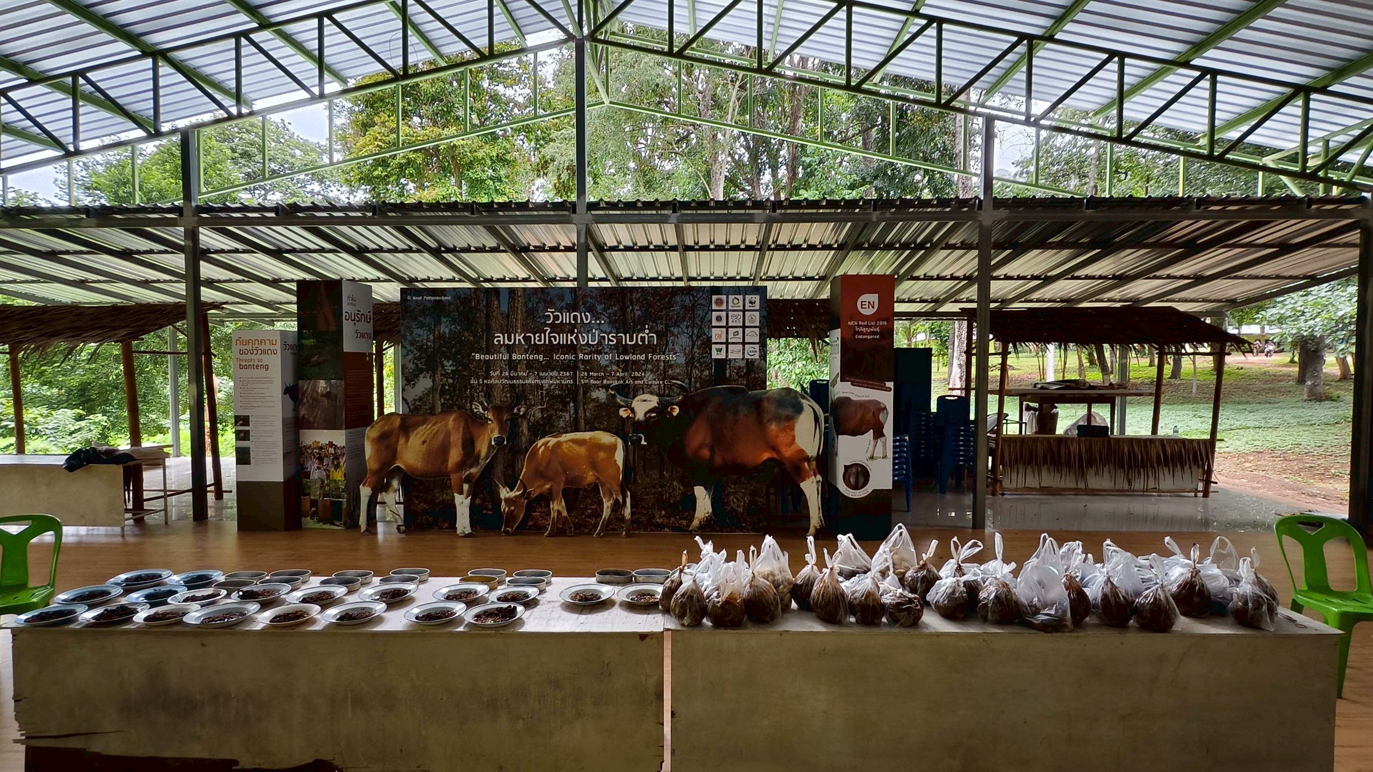 Corporate Social Responsibility